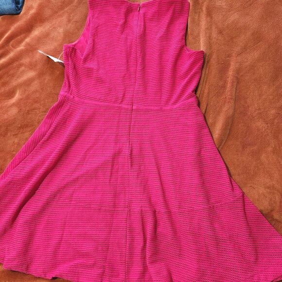 Jennifer Lopez Sleeveless Fit & Flare Textured Fuchsia Dress Size 12 Lined   B5 - Picture 10 of 13